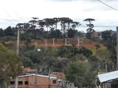 Lote/Terreno à venda, 2743m² no Jardim Sandra, Cotia