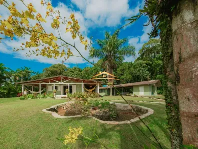 Fazenda/Sítio com 12 Quartos à venda, 193600m² no , Antonina