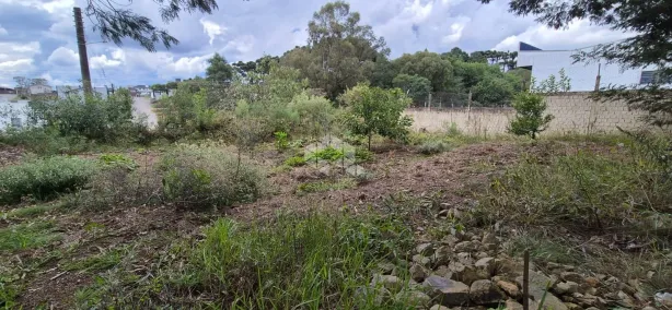 Lote/Terreno à venda, 824m² no São Francisco, Farroupilha