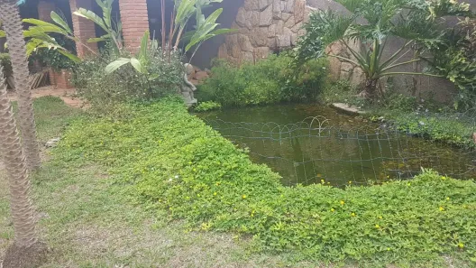 Lote/Terreno à venda, 14m² no Jardim Panorama, Mogi Mirim