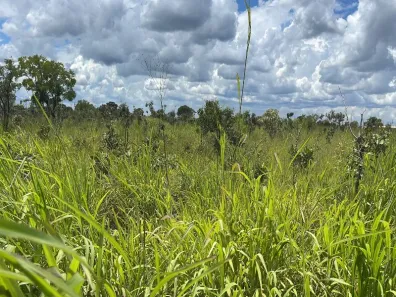Lote/Terreno à venda, 20000m² no Núcleo Rural Hortigranjeiro de Santa Maria, Brasília