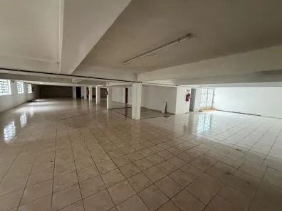Galpão/Depósito/Armazém para alugar, 300m² no Vila Mazzei, São Paulo