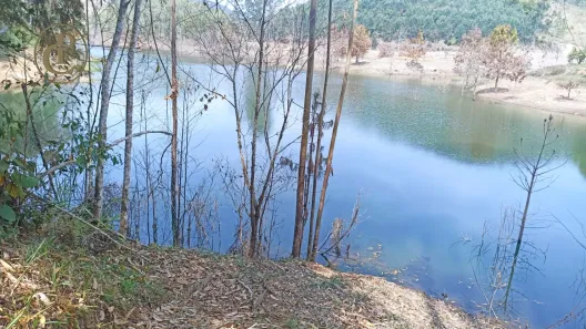 Fazenda/Sítio com 4 Quartos à venda, 800m² no , Paraibuna