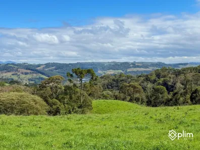 Fazenda/Sítio com 1 Quarto à venda, 31000m² no , Alfredo Wagner