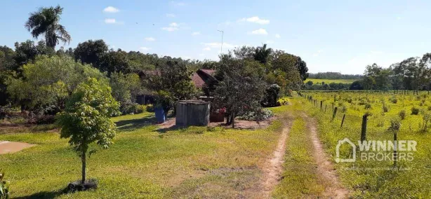 Fazenda/Sítio com 6 Quartos à venda, 375m² no Distrito Sumaré (Sumaré), Paranavaí