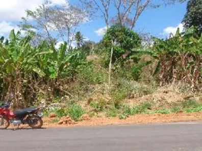 Lote/Terreno com 1 Quarto à venda, 600m² no Centro, Sítio Novo