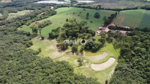 Fazenda/Sítio com 9 Quartos à venda, 254100m² no Área Rural de Araucária, Araucária