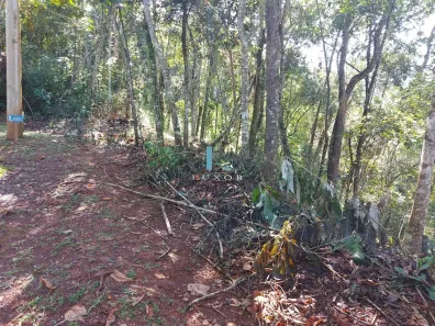 Lote/Terreno à venda, 4985m² no Green Park, Nova Lima
