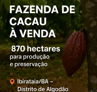 Fazenda/Sítio à venda, 8700000m² no , Ibirataia