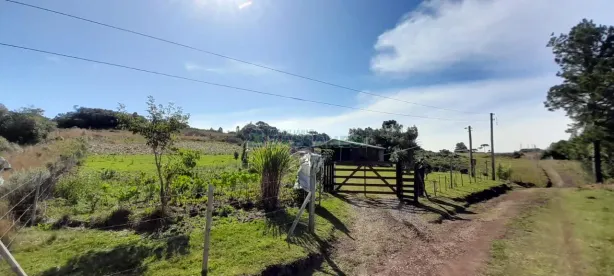 Lote/Terreno à venda, 20050m² no Criúva, Caxias do Sul