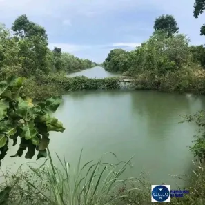 Fazenda/Sítio com 1 Quarto à venda, 1880m² no Setor Central, Formoso do Araguaia