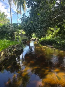 Fazenda/Sítio com 5 Quartos à venda, 15000m² no , São José de Mipibu