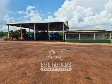 Fazenda/Sítio à venda, 13500000m² no , Primavera do Leste