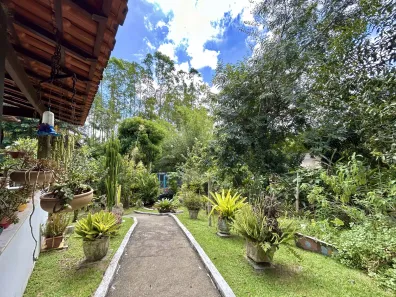 Fazenda/Sítio com 3 Quartos à venda, 37000m² no Morro Grande, Araruama