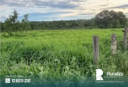 Fazenda/Sítio à venda, 2550m² no , João Pinheiro