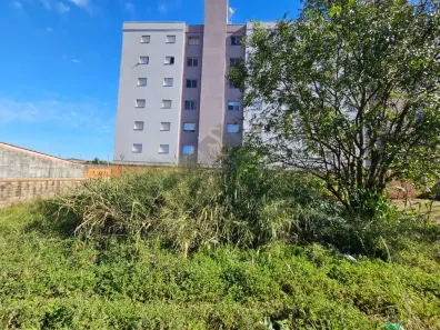 Lote/Terreno à venda, 180m² no Vila Monte Alegre, Ribeirão Preto