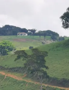 Fazenda/Sítio com 4 Quartos à venda, 180m² no , Tamandaré