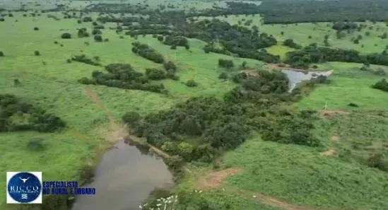 Fazenda/Sítio com 3 Quartos à venda, 251m² no Setor Central, Araguaçu