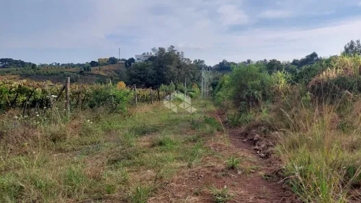 Fazenda/Sítio à venda, 60000m² no Vale dos Vinhedos, Bento Gonçalves