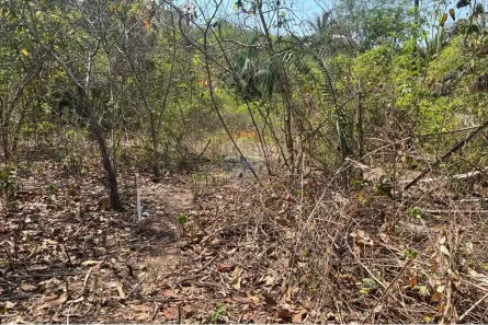 Fazenda/Sítio com 1 Quarto à venda, 1200m² no Área Rural de Rondonópolis, Rondonópolis