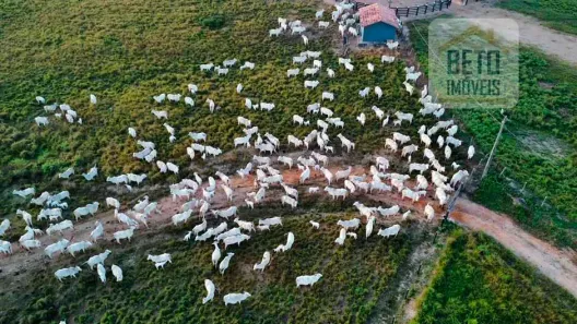 Fazenda/Sítio à venda, 105000000m² no Velha Marabá, Marabá