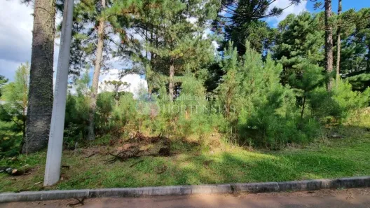 Lote/Terreno à venda, 600m² no Dutra, Gramado