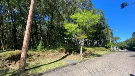Lote/Terreno à venda, 728m² no , Canela