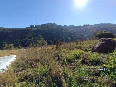 Lote/Terreno à venda, 30000m² no Joaneta, Picada Café