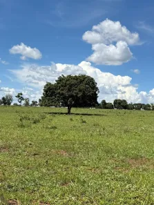 Fazenda/Sítio com 3 Quartos à venda, 370m² no , Camapuã