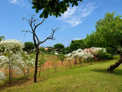 Casa com 3 Quartos à venda, 110m² no Parque Santa Felícia Jardim, São Carlos