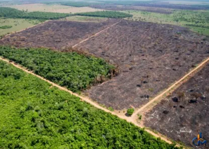 Lote/Terreno à venda, 43000000m² no Centro, Salvaterra