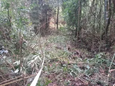 Lote/Terreno à venda, 42183m² no Pedro do Rio, Petrópolis