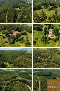 Fazenda/Sítio com 7 Quartos à venda, 387m² no , Ipeúna