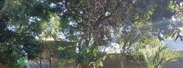 Lote/Terreno à venda, 837m² no Menino Deus, Porto Alegre
