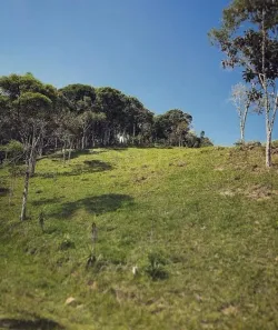 Lote/Terreno à venda, 1776m² no Varginha, Santo Amaro da Imperatriz