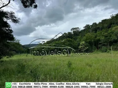 Fazenda/Sítio com 3 Quartos à venda, 26m² no Ilha dos Araújos, Governador Valadares