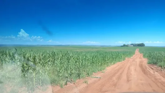 Fazenda/Sítio à venda, 6920000m² no Centro, Mariluz