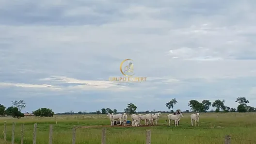 Fazenda/Sítio com 4 Quartos à venda, 78000000m² no , Cocalinho