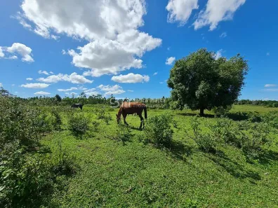 Fazenda/Sítio à venda, 2516800m² no Área Rural de Araruama, Araruama