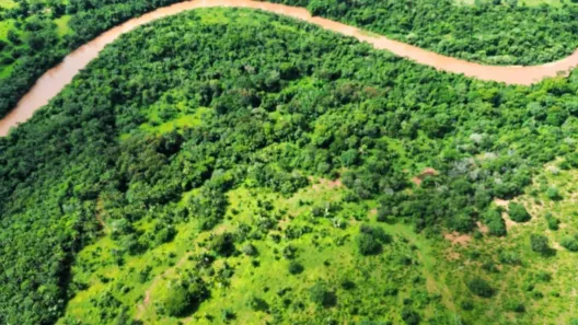 Fazenda/Sítio com 2 Quartos à venda, 1930000m² no , São José do Povo