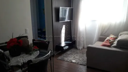 Apartamento com 2 Quartos à venda, 48m² no Parque das Flores II, São José do Rio Preto
