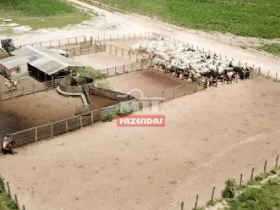 Fazenda/Sítio à venda, 500m² no , Baianópolis