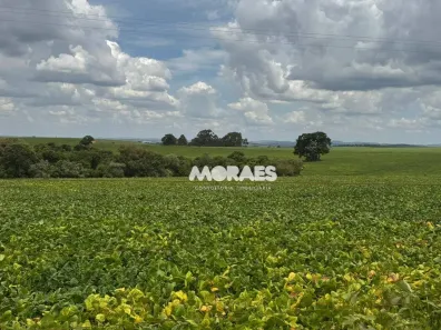 Fazenda/Sítio à venda, 2904000m² no Jardim Bela Vista, Itapeva