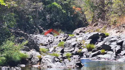 Fazenda/Sítio à venda, 10m² no São Jorge, Alto Paraíso de Goiás