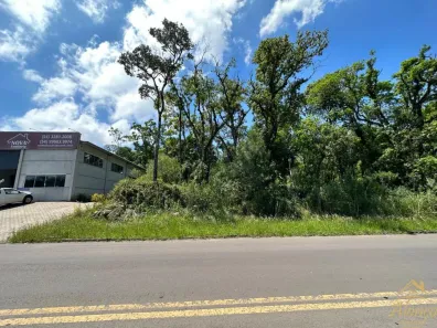 Lote/Terreno à venda, 683m² no Nova Petrópolis, Nova Petrópolis