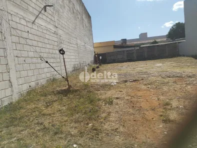 Lote/Terreno para alugar, 338m² no Nossa Senhora Aparecida, Uberlândia