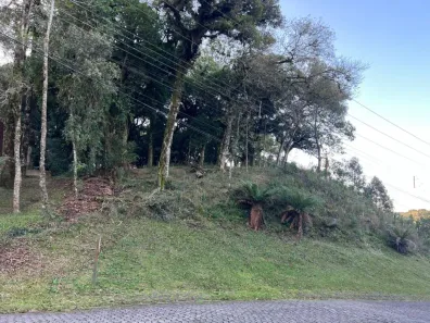 Lote/Terreno à venda, 1716m² no Santa Terezinha, Canela