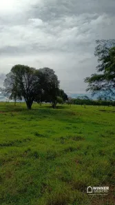Fazenda/Sítio com 2 Quartos à venda, 24200m² no Centro, Uniflor