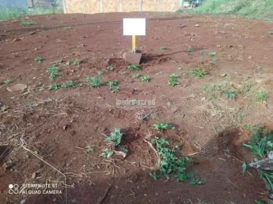 Lote/Terreno à venda, 252m² no Jardim Europa, Cambé