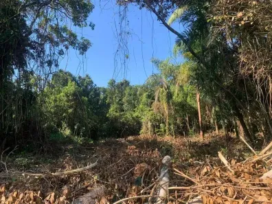 Lote/Terreno à venda, 286m² no Balneario Gaivotas, Itanhaém